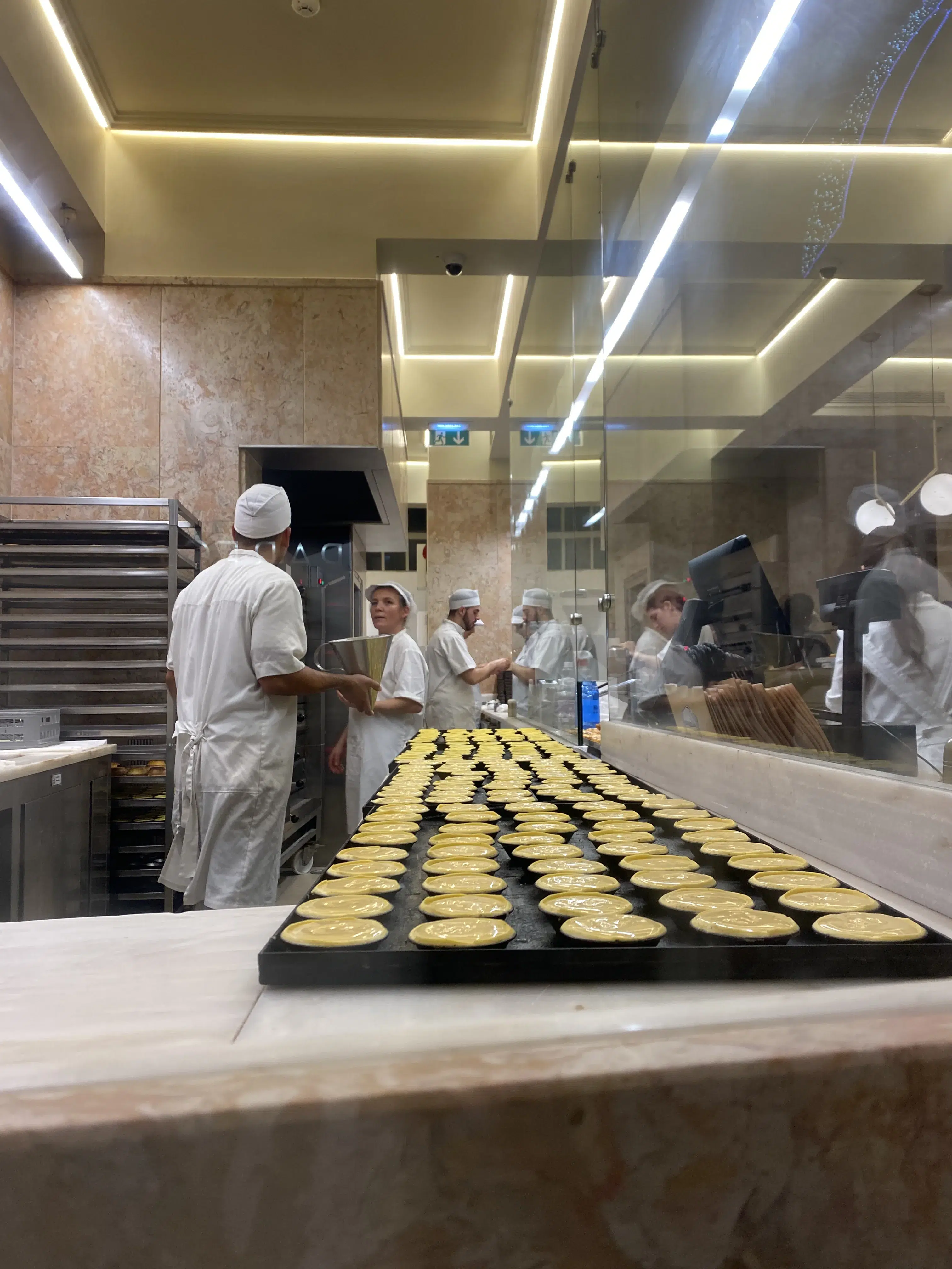 Ruta Pasteles de Nata Oporto Ruta Pasteles de Nata Oporto