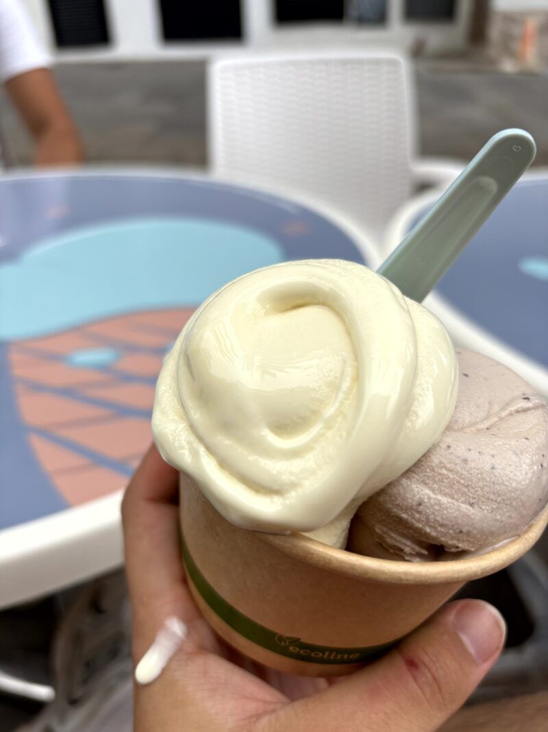 Helado de Vainilla Helado de Vainilla en el post de la Crítica Il Gelato Puro
